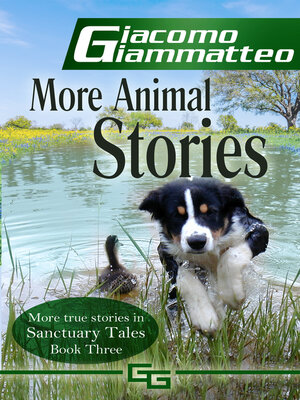 cover image of More Animal Stories, Sanctuary Tales, III